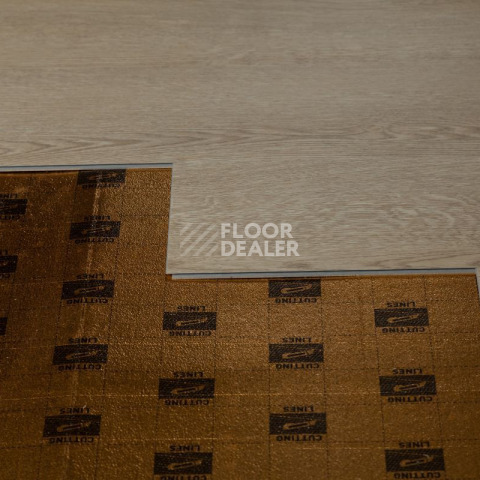 Tarkett Funky House Ricon фото 2 | FLOORDEALER